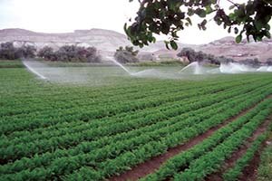 Malatya ya 16 Milyon Tl lik Yatırım