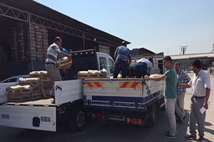 Örnek Çilek Bahçeleri Çok Beğenildi