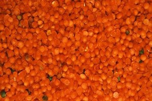 Mercimek Emekliyi Dörde Katladı