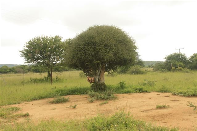 Abd li Çiftin Bozkırda Organik Tatil Keyfi