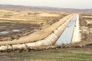 Toplulaştırma Yatırımı Frenliyor