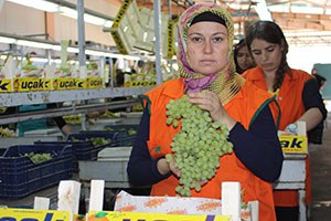 İhracat Rekortmeninden Üzüm Üreticilerine Uyarı