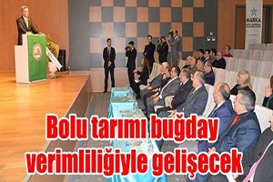 Bolu Tarımı Buğday Verimliliğiyle Gelişecek