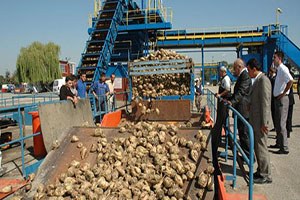 Ekonomiye Tatlı Destek