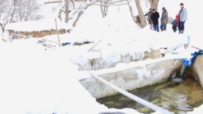 Çatak ta Alabalık Tesisi Çığ Altında Kaldı