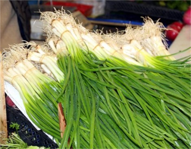 Yeşil Soğan Üreticisinin Yüzünü Güldürdü