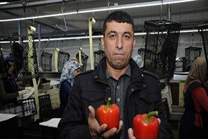 Antalya Turizmden Sonra Tarımda Da Ümidini Irak Ve Suudi Arabistan a Bağladı