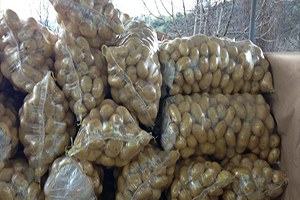 Habur un Açılması Patates Üreticisini Sevindirdi