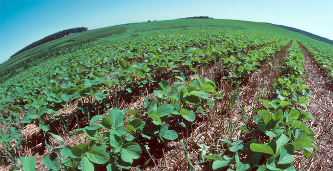 Tarım ÜFE Aralık Ayında Arttı