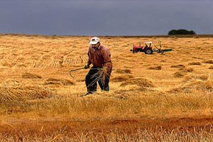 Trabzon da Dev Tarım Zirvesi