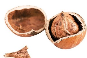 Fındığın Önlenemez Yükselişi