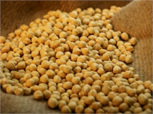 Düzce de 2015 Dolu Dolu Geçti