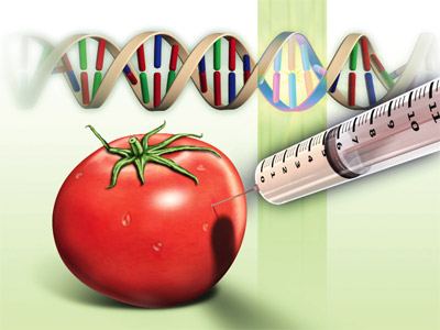 Venezuela da GDO Yasaklanıyor