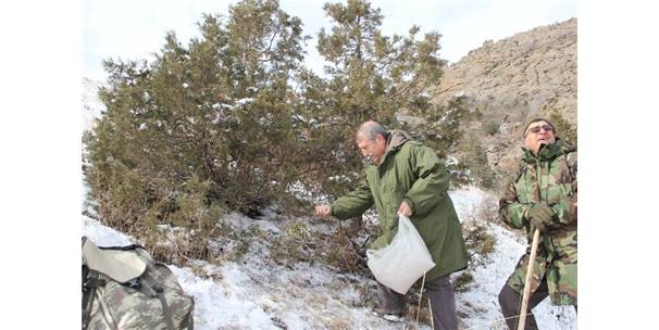 Yaban Hayatına Dondurucu Soğukta Yem Takviyesi