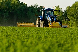 Türkiye ye Tarımda Hollanda Modeli Önerisi