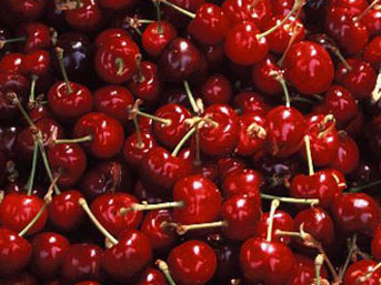 Çinliler Türk Kiraz Bahçelerini Kapatıyor