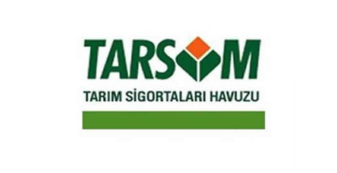 Yaban Domuzlarının Verdiği Zararlar Sigorta Kapsamına Alındı