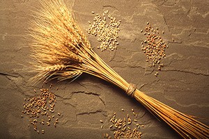 Rusya Türkiye ye Buğday Göndermeye Devam Edecek