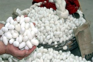 Çermik in Projeleri Kabul Edildi