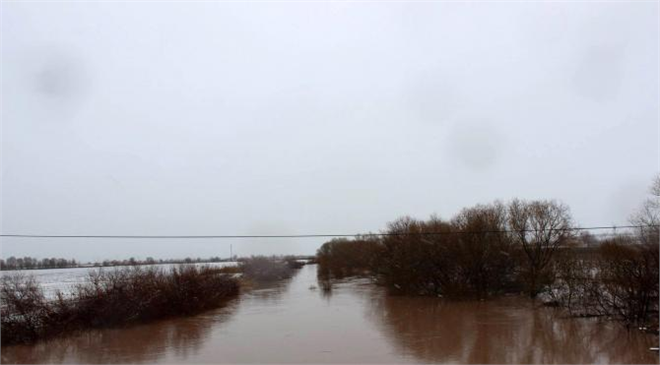 Taşan Çay Tarım Arazilerine Zarar Verdi