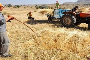 ÇKS Kayıtları Son Güne Bırakılmamalı