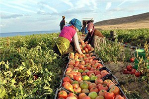 Çin Rusya ya Tarımsal Ürün İhracatını Artırabileceğini Açıkladı