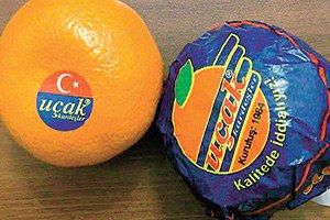 Uçak Mandalina Rusya dan Döndü