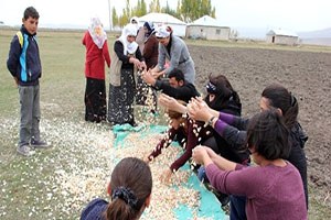 Büyükşehir Belediyesi nden Tarımsal Kalkınmaya 6 5 Milyon TL Yatırım