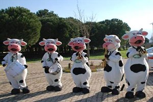 İzmir de Üretilen Sütler İzmir de İşlenecek