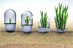 Bakan Çelik Tohumculuk Sektörü Temsilcileriyle Görüştü