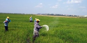 Gübreye Terör Önlemi Geliyor