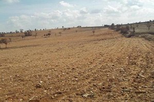 Tarım Arazileri Alarm Veriyor