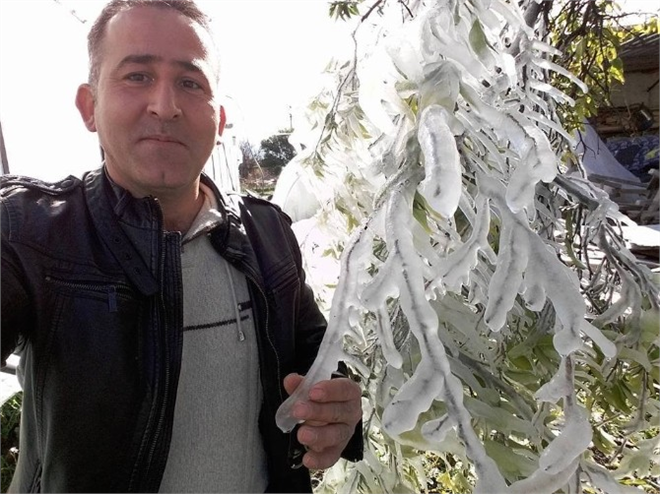 Soğuk Hava Narenciyeyi Vurdu