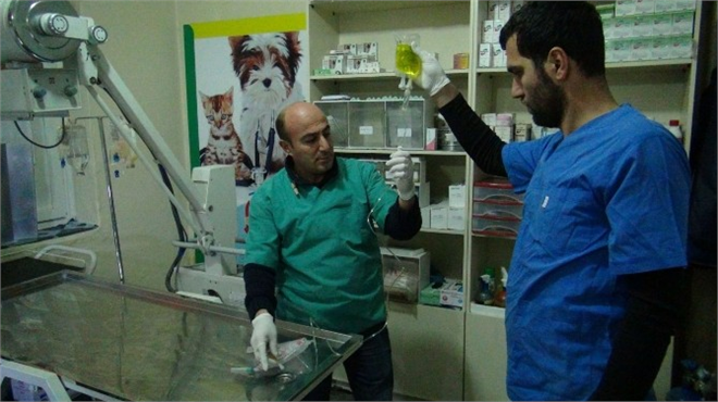Bölgenin İlk Donanımlı Hayvan Hastanesi Tatvan da Kuruldu
