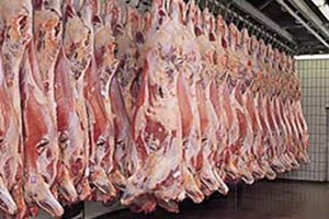 Kasaplar Et İthalatına Karşı