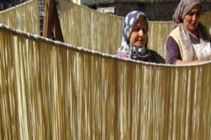 Kırdan Topladığı Otlarla Ayda 4 Ton Makarna Yapıp Satıyor