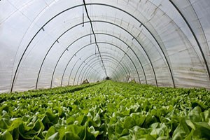 Akşehir de Mahalle Sakinlerine Seracılık Anlatıldı