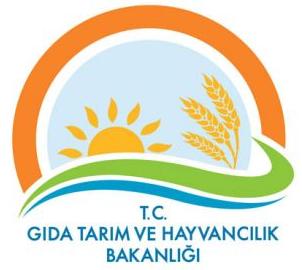 Bakanlıkta Dev Görevden Almalar Netleşti