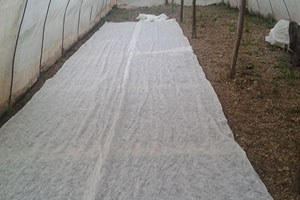 Ürünleri Donmasın Diye Elyaf Örtü Seriyorlar