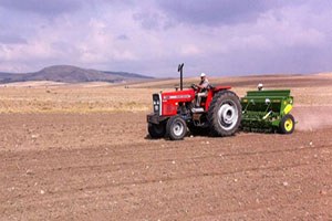 Sertifikalı Tohum Desteği İcmalleri Askıya Çıkarıldı