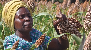 Afrika da Tarım Sektörüne Genel Bir Bakış