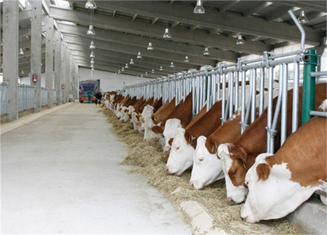 KDV İndirimi Çiftçiye Destek Oldu