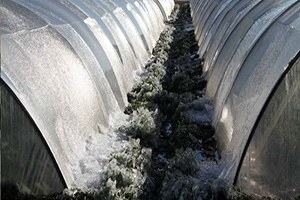 Çiftçiye Bir Darbe De Soğuk Havadan