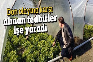 Don Olayına Karşı Alınan Tedbirler İşe Yaradı