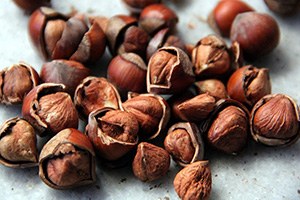 Türkiye nin Fındık İhracatı 1 Milyar Doları Aştı