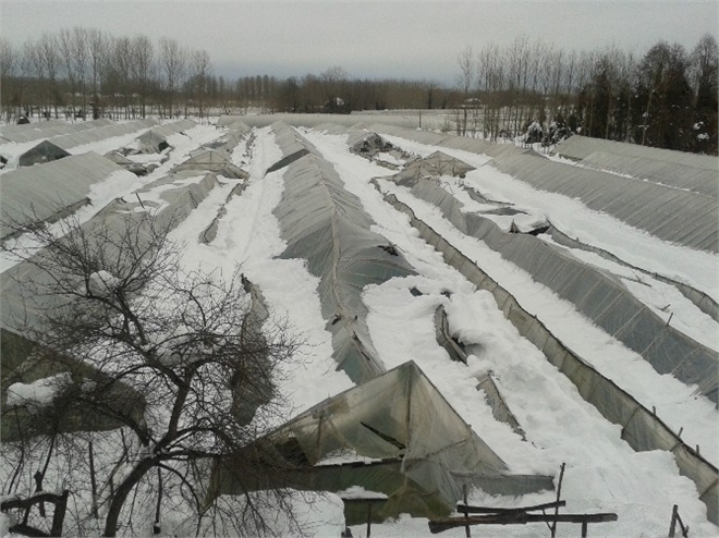 Tarımsal Üretimde Doğal Afet Zararı