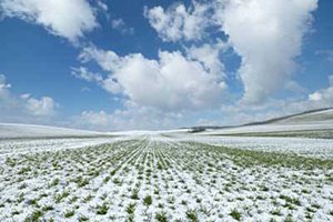 Kar Çiftçinin Yüzünü Güldürdü