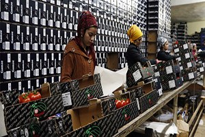 Sivri Biber Patlıcan Ve Salatalığa Düşük Üretim Zammı Kapıda