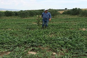 Tunceli de Tarım Danışmanlarına Eğitim