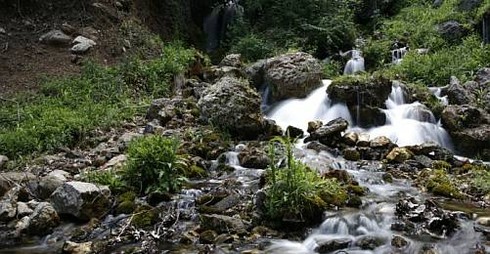 Danıştay dan Alakır Kararı